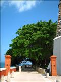 Paseo de la Princesa - SAN JUAN